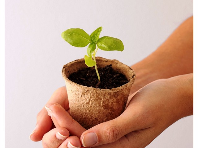 aaaa