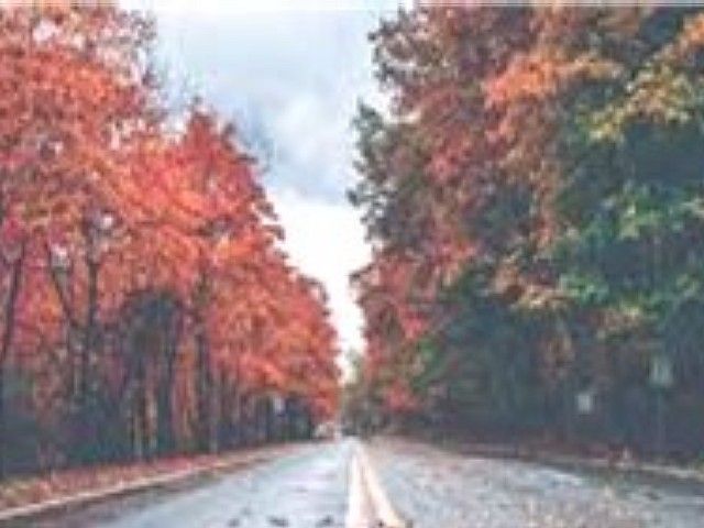 aaaa