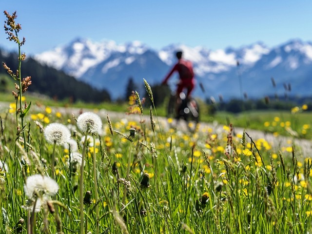 aaaa