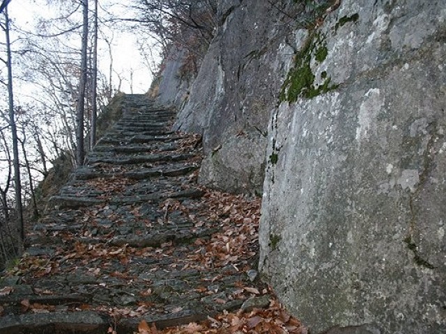 aaaa